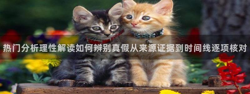 热点事件大全