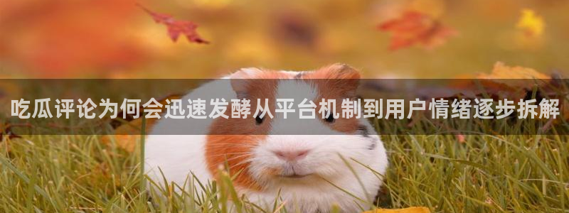 黑料爆料热点搜索
