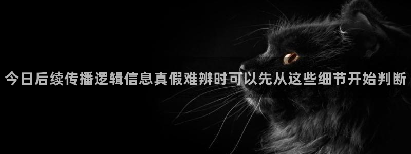 网络事件动态