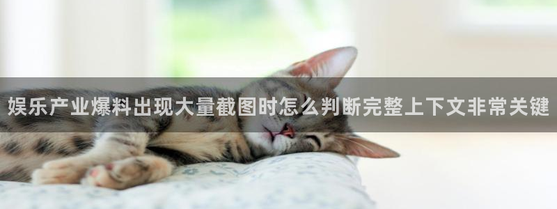 黑料爆料话题搜索